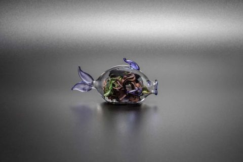 PESCE CON POTPOURRI