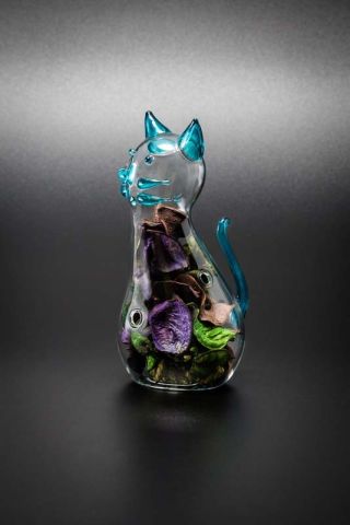 GATTO CON POTPOURRI