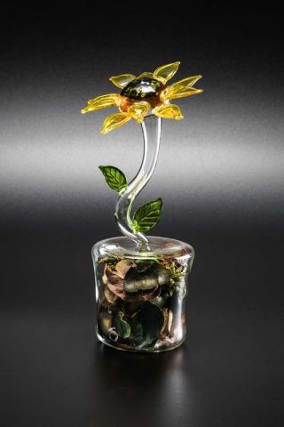 GIRASOLE CON POTPOURRI