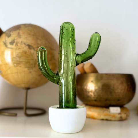 CACTUS IN VASO
