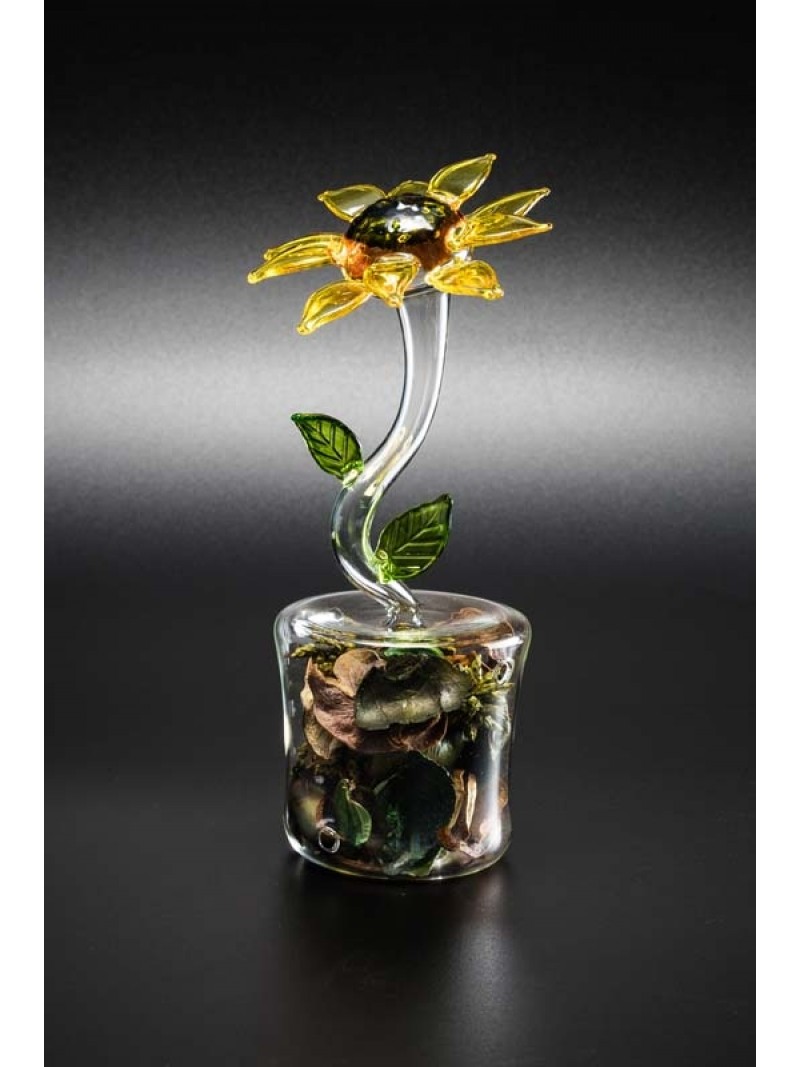 SUNFLOWER WITH POTPOURRI