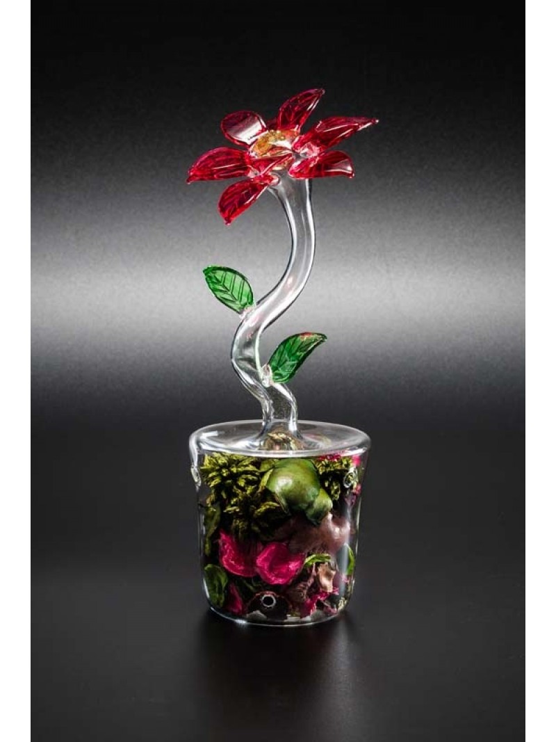 STAR WITH POTPOURRI