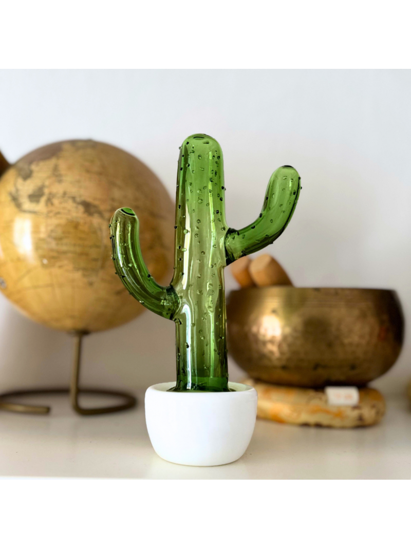 POTTED CACTUS